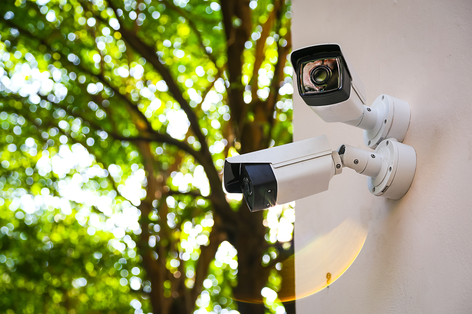 Two security cameras mounted on an exterior wall